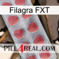 Filagra FXT 18